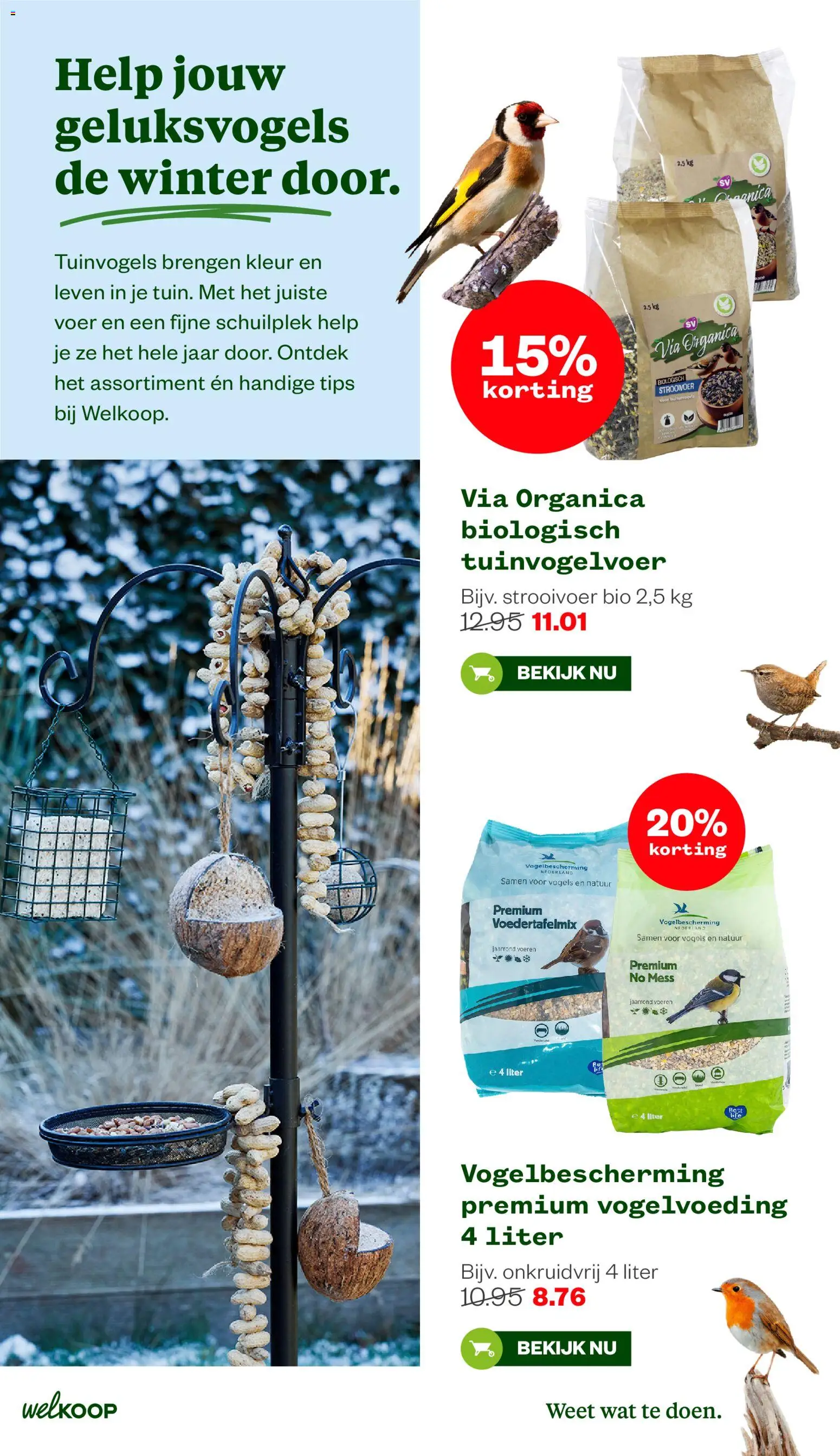 {H1} | Pagina: 15 | Producten: Schaal, Kamerplanten, Poeder