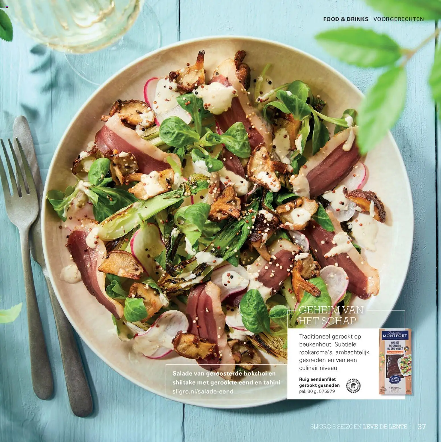 {H1} | Pagina: 37 | Producten: Salade