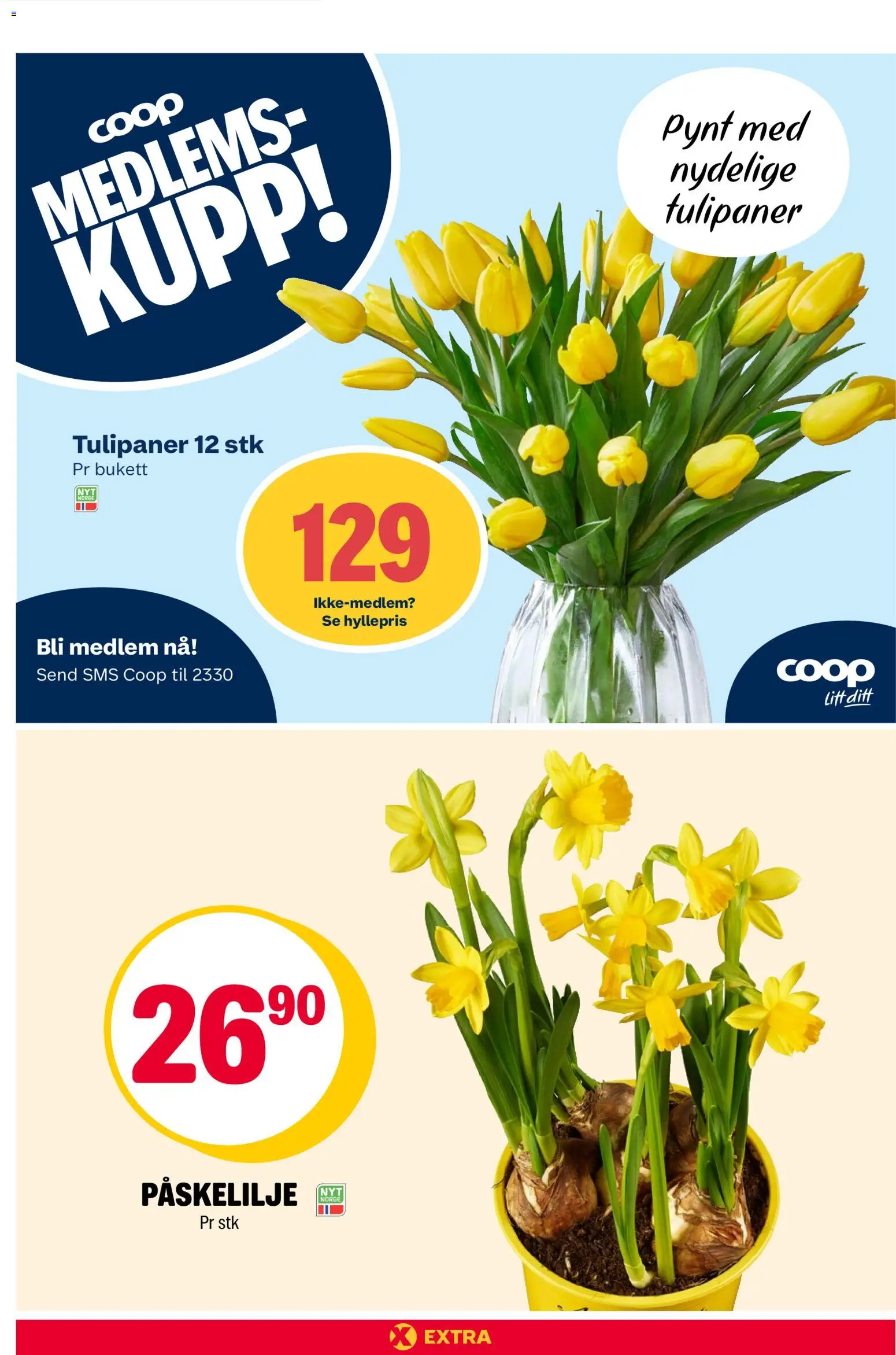 {H1} | Side: 24 | Produkter: Fyldt pasta