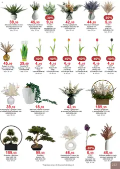 Pogląd oferty "Bodzio Katalog" - ważna od 01.10.2025 | Strona: 213 | Produkty: Róż, Tulipany, Kwiaty