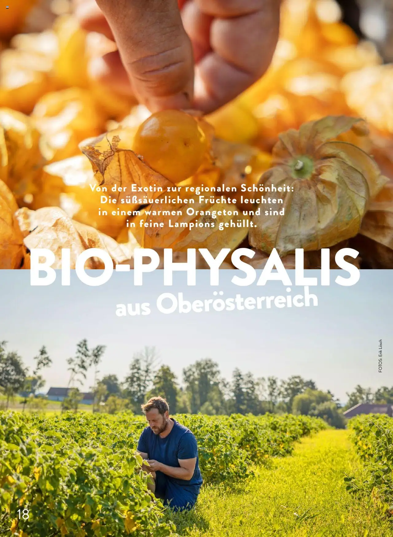 Spar Mahlzeit! Magazin gültig ab 01.09.2025 | Seite: 18