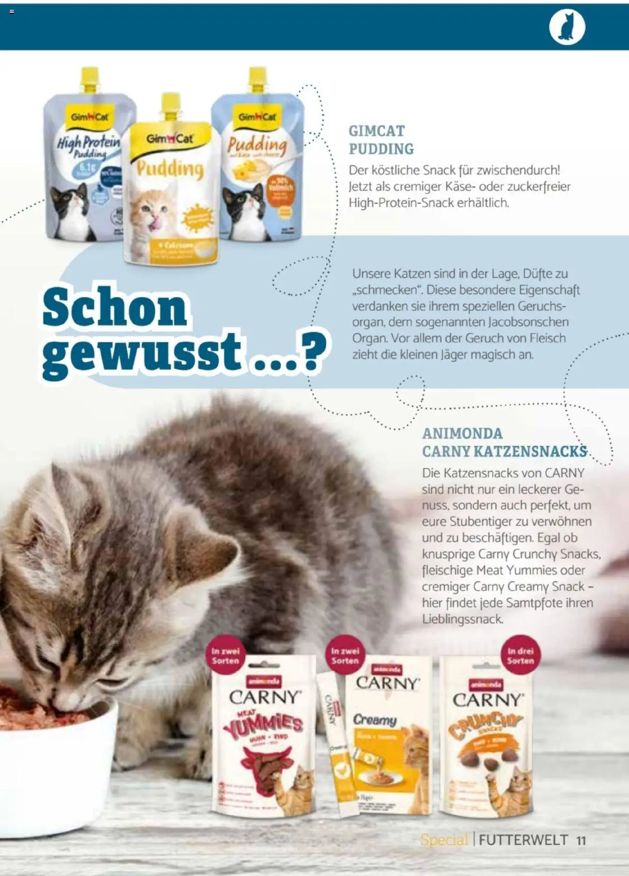 zookauf -Heimtier Journal Special - gültig ab dem 21.07.2025 | Seite: 11 | Produkte: Käse, Pudding, Fleisch
