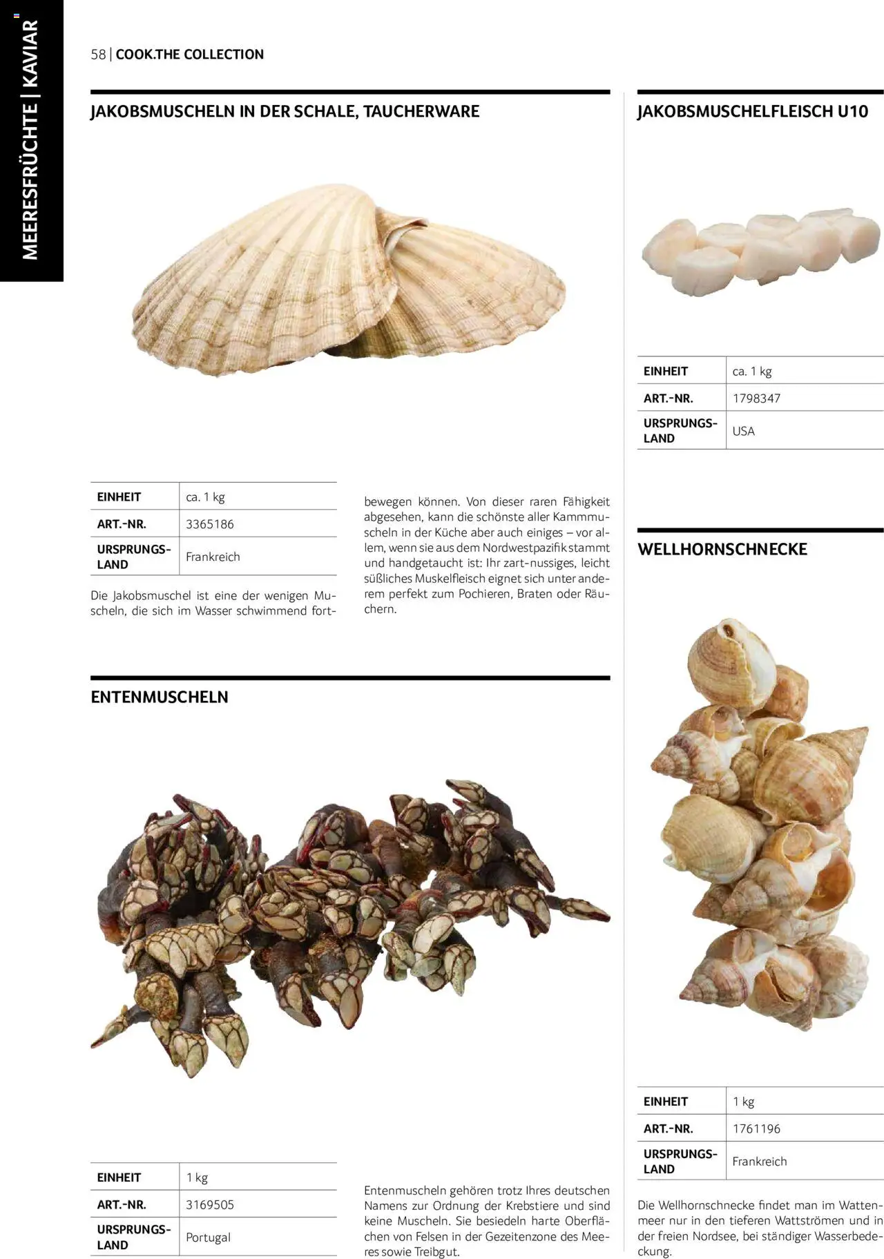 Transgourmet Cook Look-Book gültig ab 01.09.2023 | Seite: 58 | Produkte: Wasser, Meeresfrüchte