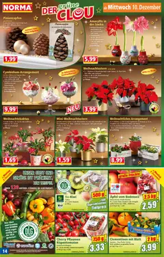 Norma Prospekt 	 ab 08.12.2025 gültig | Seite: 14 | Produkte: Pflaumen, Duft, Creme, Gemüse