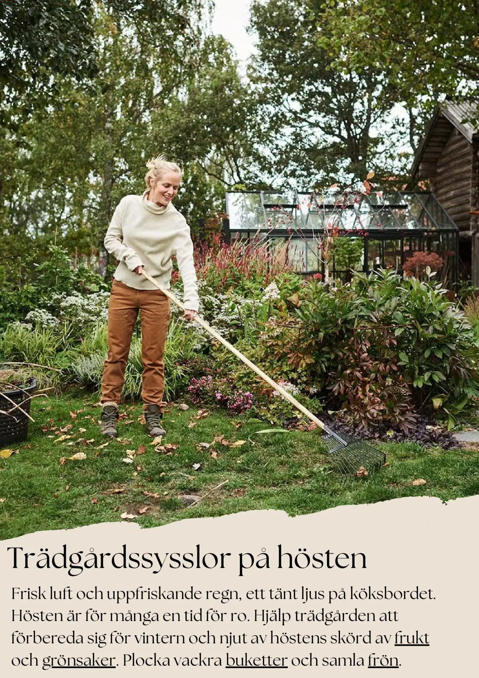 Plantagen reklamblad aktuell från 27.10.2025 | Sida: 5 | Produkter: Ljus