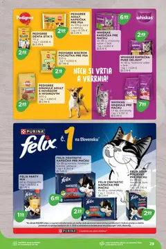 Terno leták platný od 16.02.2026 | Strana: 29