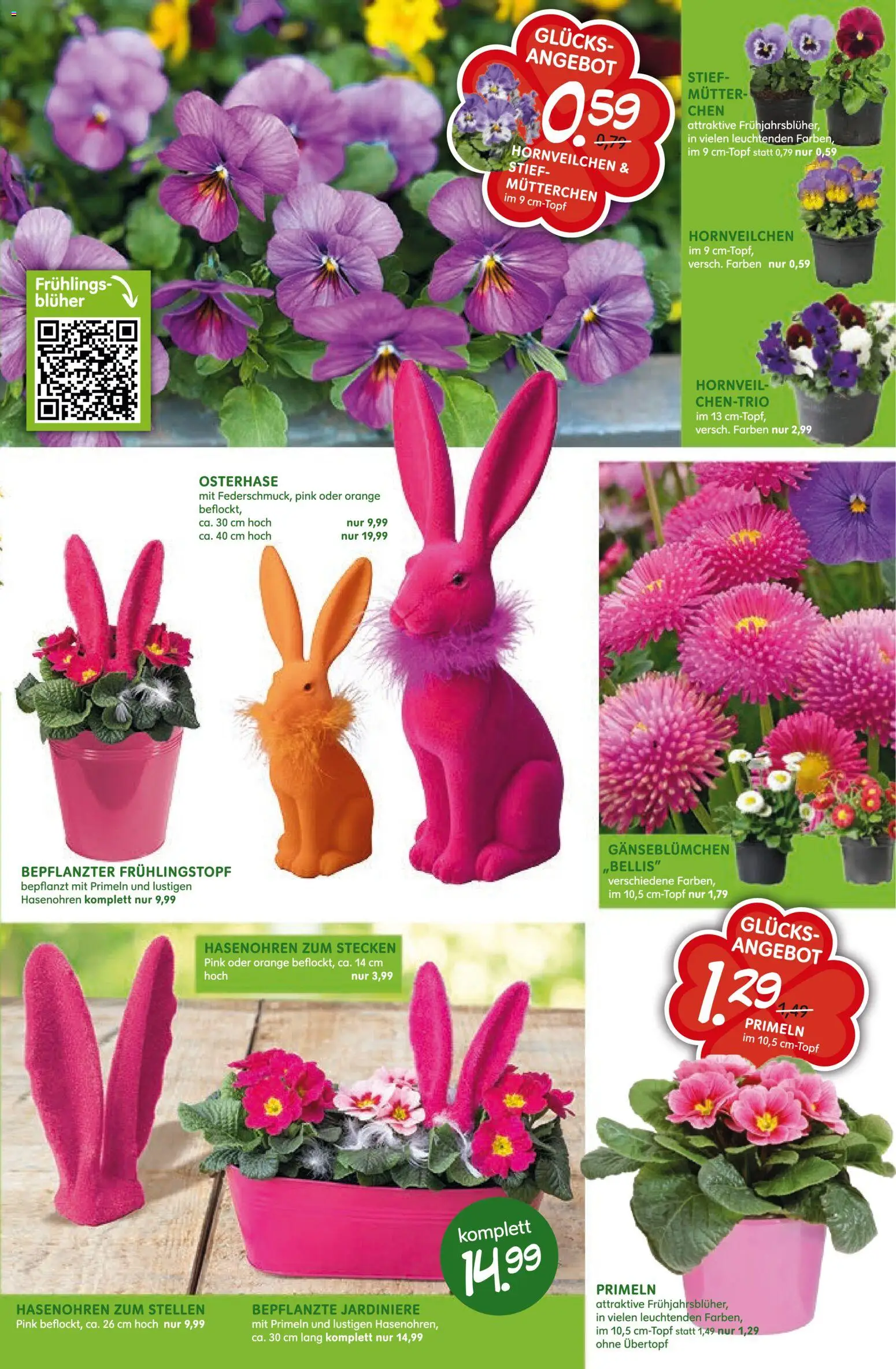 Blumen Risse Prospekt 	 – gültig ab 12.03.2026 | Seite: 9