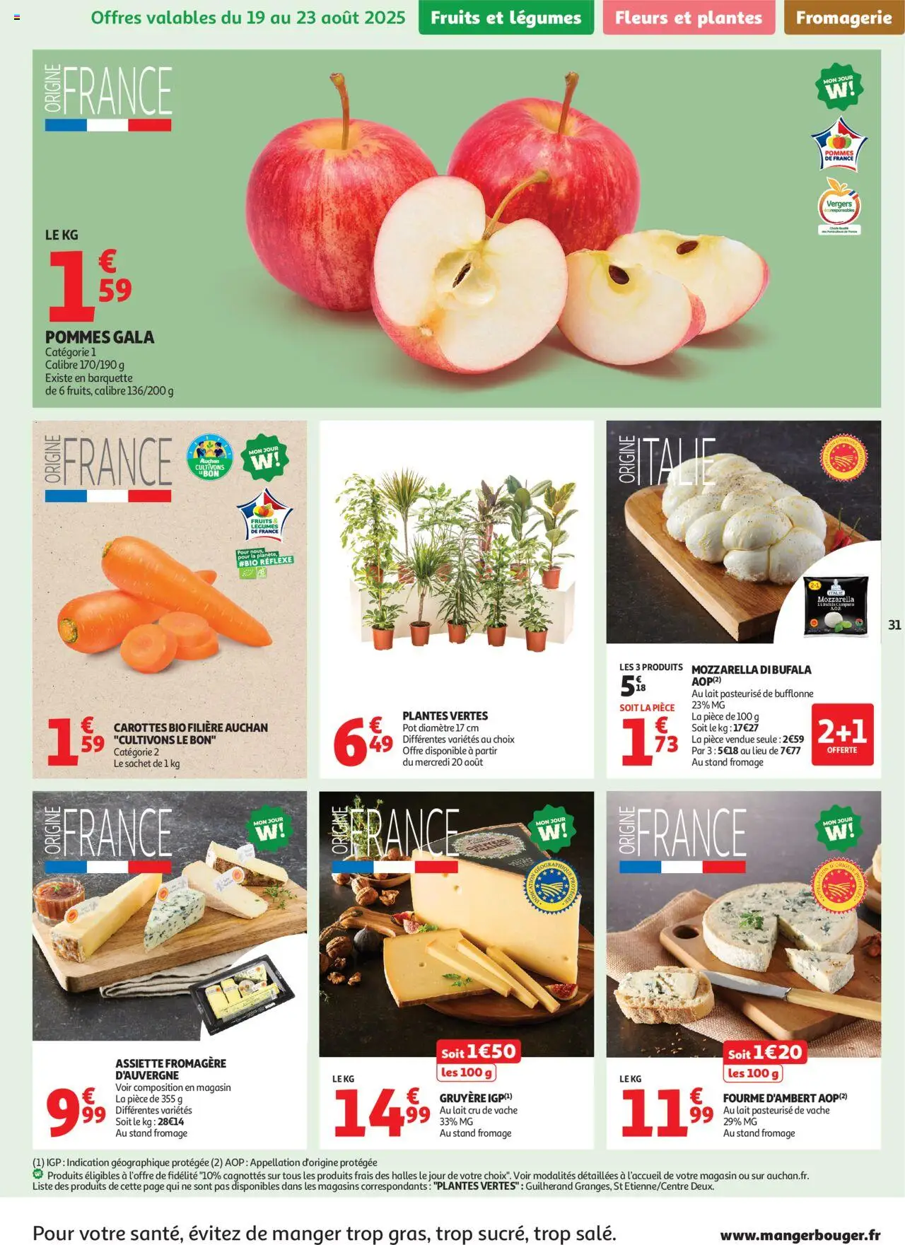  | Page: 31 | Produits: Carottes, Plantes, Fleurs et plantes, Lait
