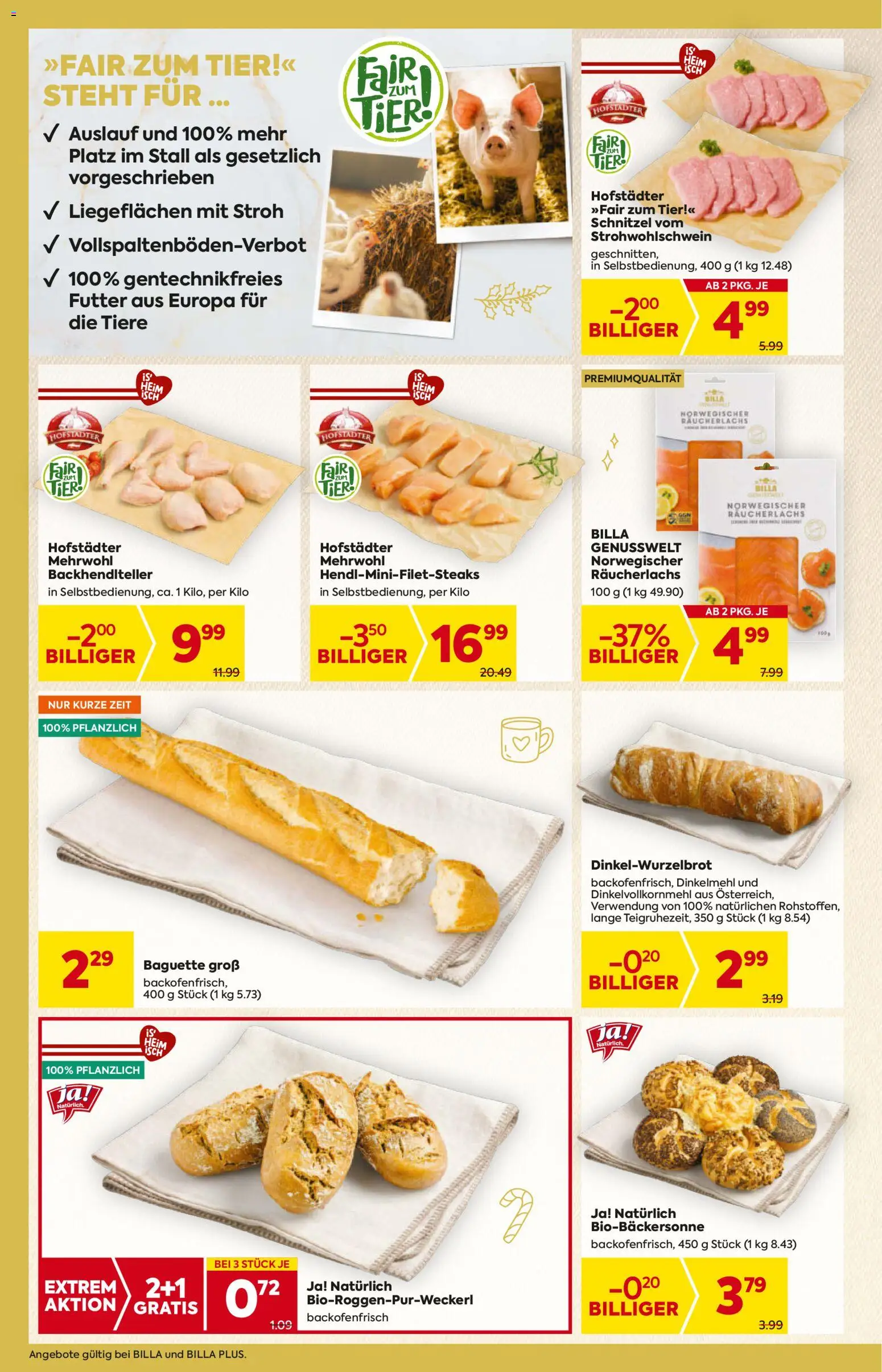 Billa Flugblatt - Niederösterreich gültig ab 20.11.2025 | Seite: 10 | Produkte: Jääkaappipakastin