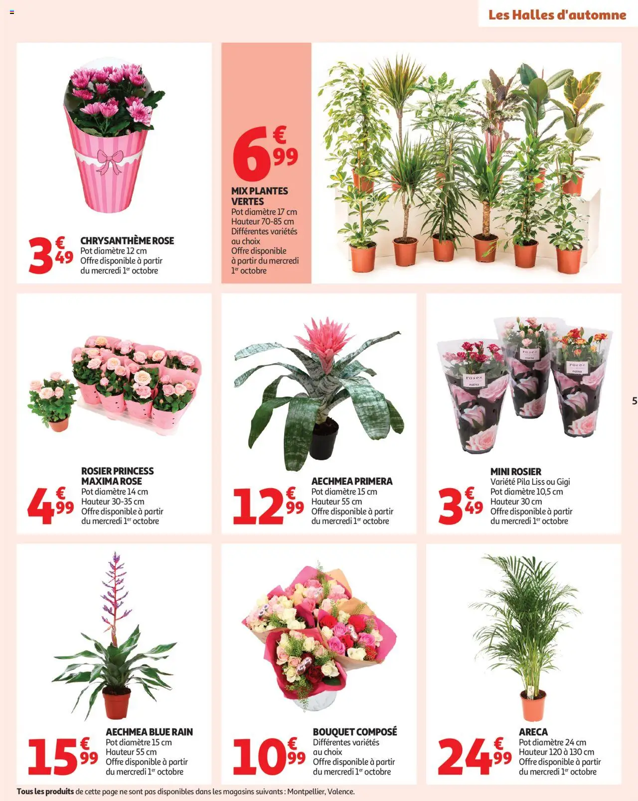 {H1} | Page: 5 | Produits: Rosier, Plantes, Mini rosier, Chrysanthème