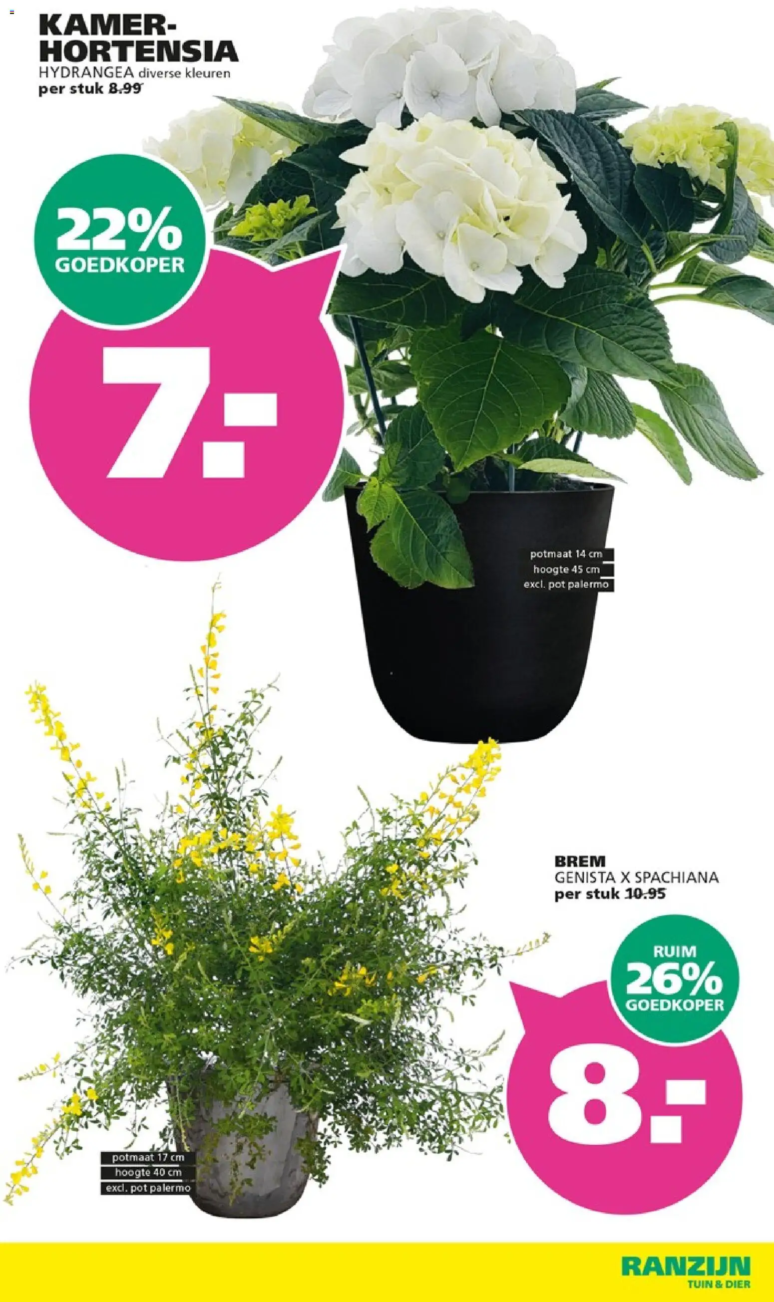 {H1} | Pagina: 2 | Producten: Pot