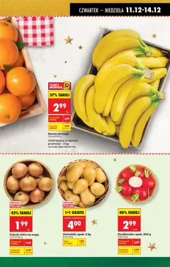 Pogląd oferty "Jodła kaukaska cięta, wysokość 150-175 cm" - ważna od 11.12.2025 | Strona: 23