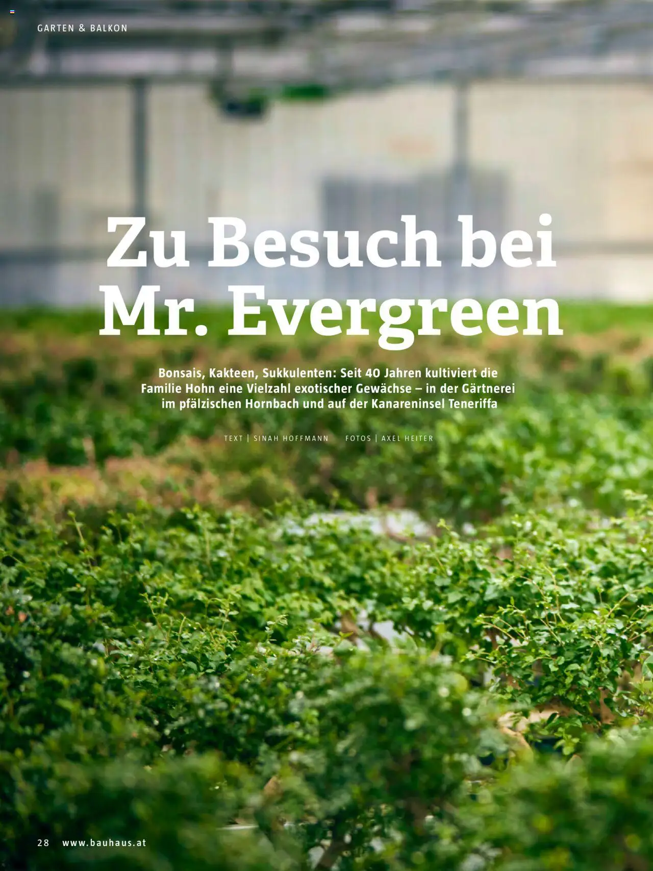 Bauhaus Passt! gültig ab 01.10.2025 | Seite: 28