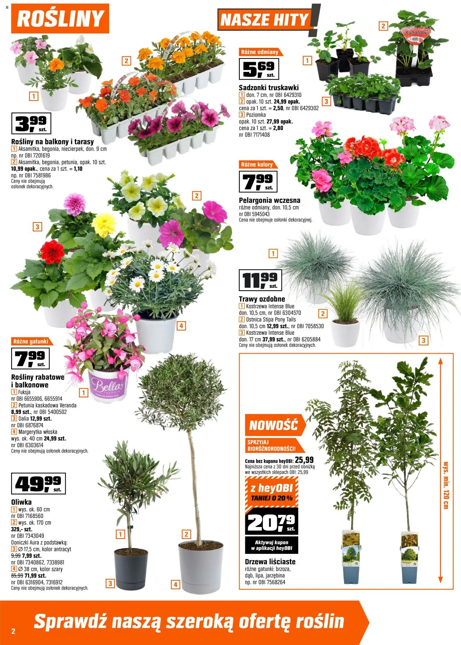 OBI gazetka od 07.04.2026 | Strona: 2 | Produkty: Trawy, Rosliny, Doniczki, Truskawki