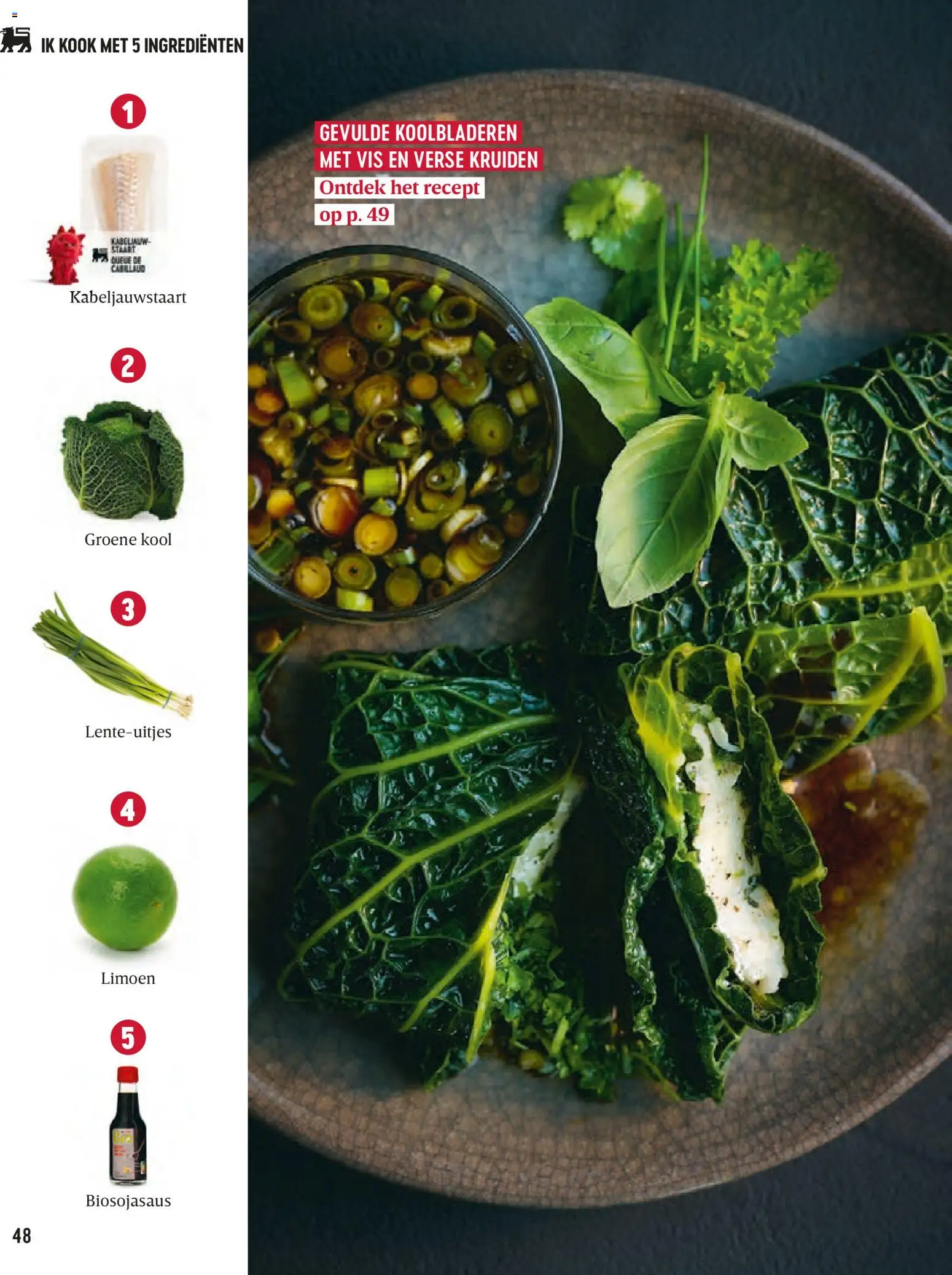 {H1} | Pagina: 48 | Producten: Vis, Limoen, Kool