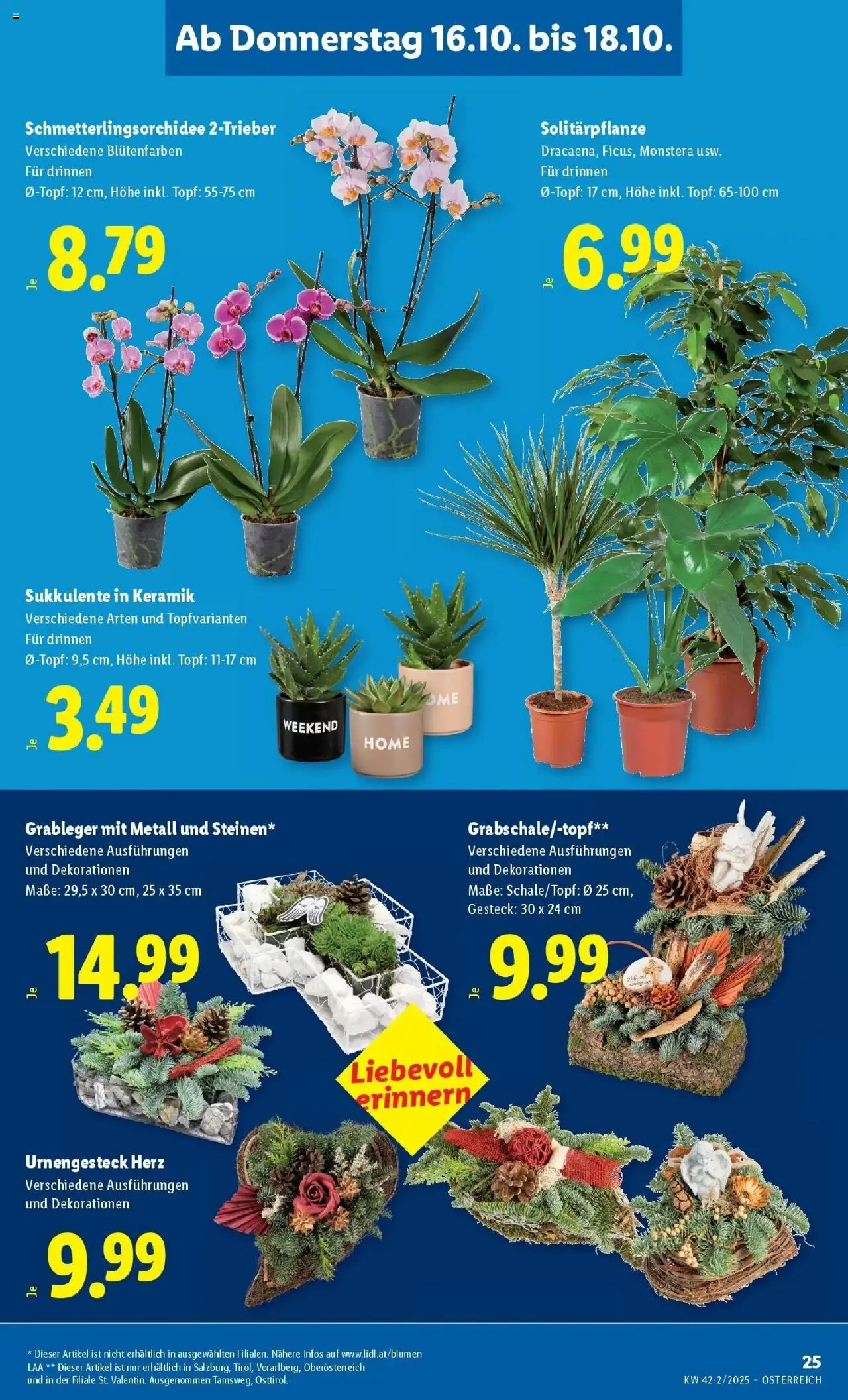 Lidl Flugblatt - Jenbach, Eferding, Dornbirn gültig ab 15.10.2025 | Seite: 29