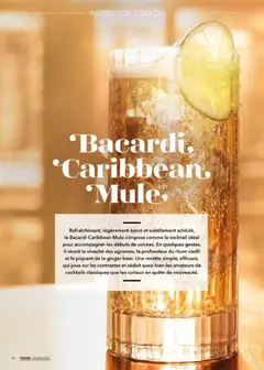 METRO - Prévisualisation de METRO - Magazine 15h30 N° 16 valide à partir de 01.12.2025 | Page: 46 | Produits: Rhum