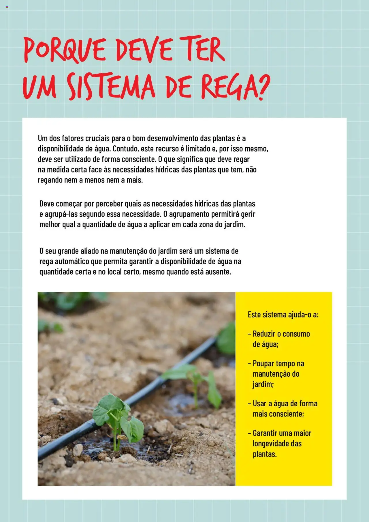 BricoMarché Rega │ válido de 17.01.2024 | Página: 2