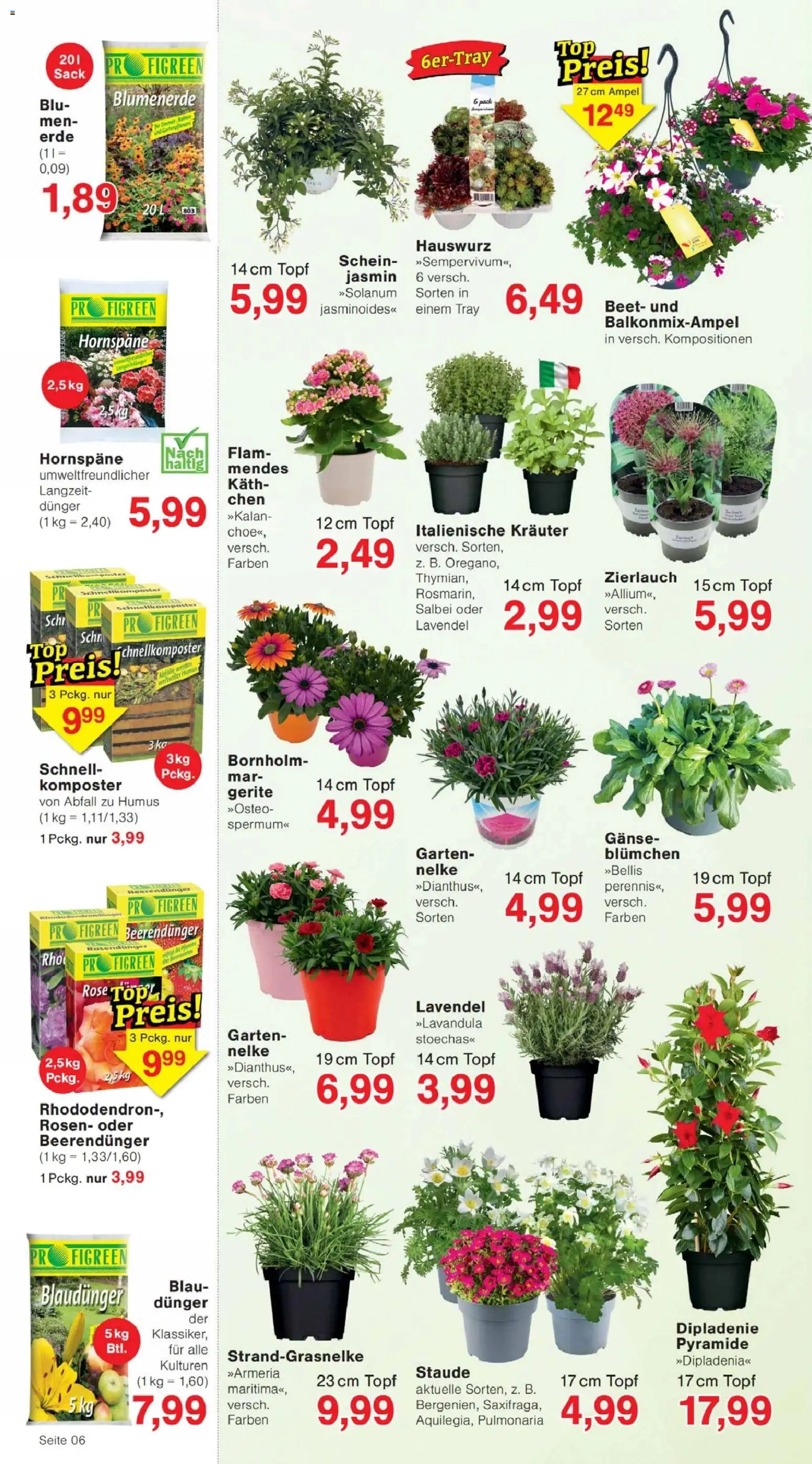 Jawoll Prospekt – gültig ab 23.03.2026 | Seite: 6 | Produkte: Top, Blumenerde, Lavendel