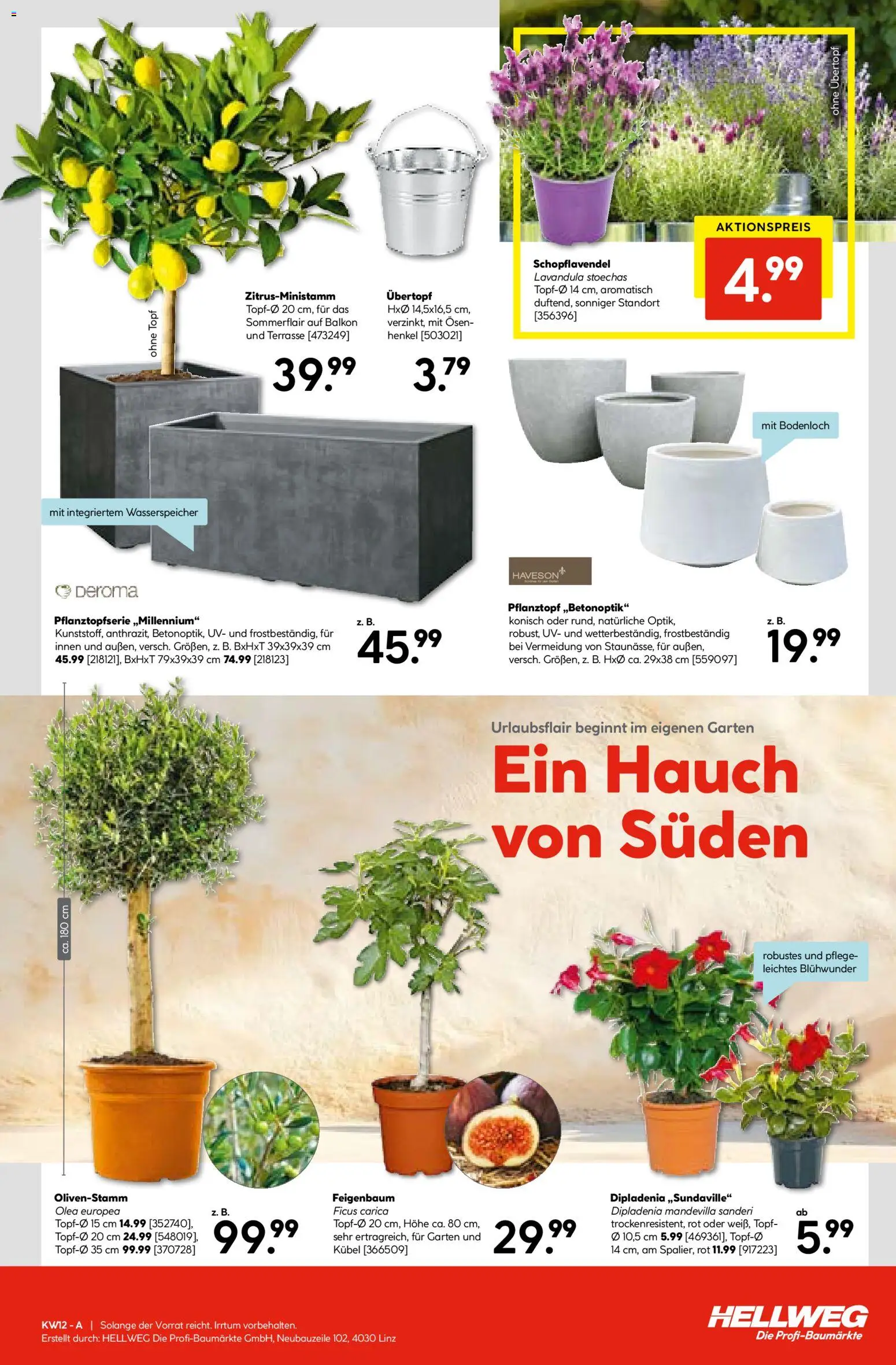 HELLWEG Flugblatt gültig ab 19.03.2026 | Seite: 17