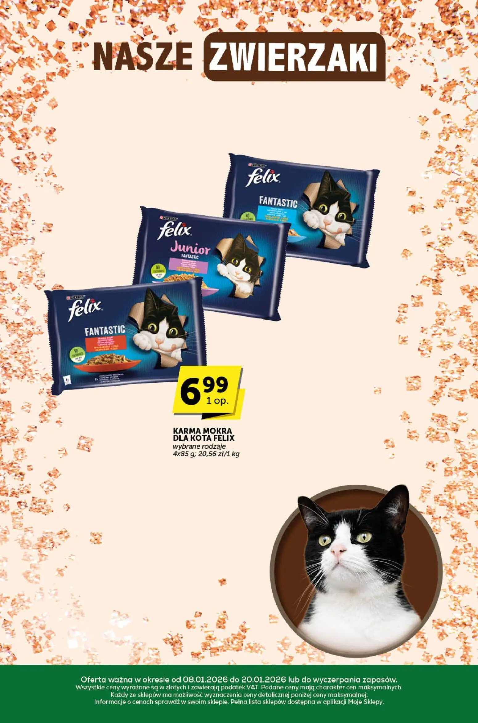 Euro Sklep Gazetka - Katalog od 08.01.2026 | Strona: 27 | Produkty: Karma mokra dla kota