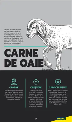 Ofertele Metro valabile de la 03.06.2025 | Pagină: 24