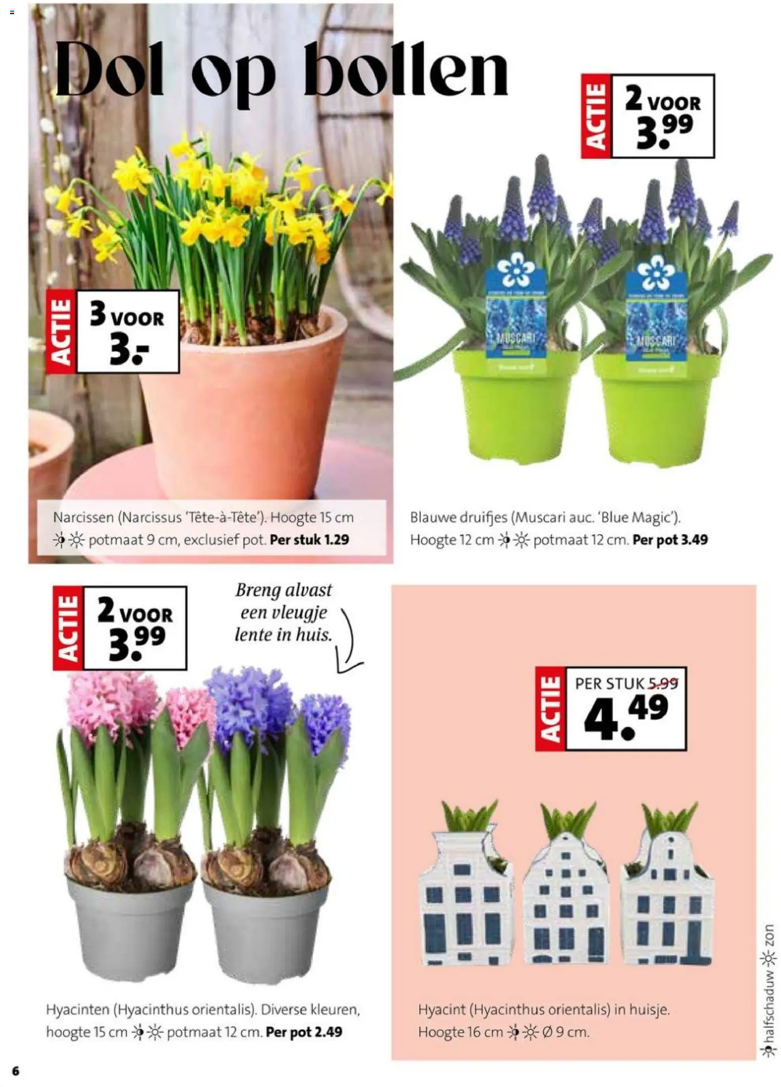 {H1} | Pagina: 6 | Producten: Pot