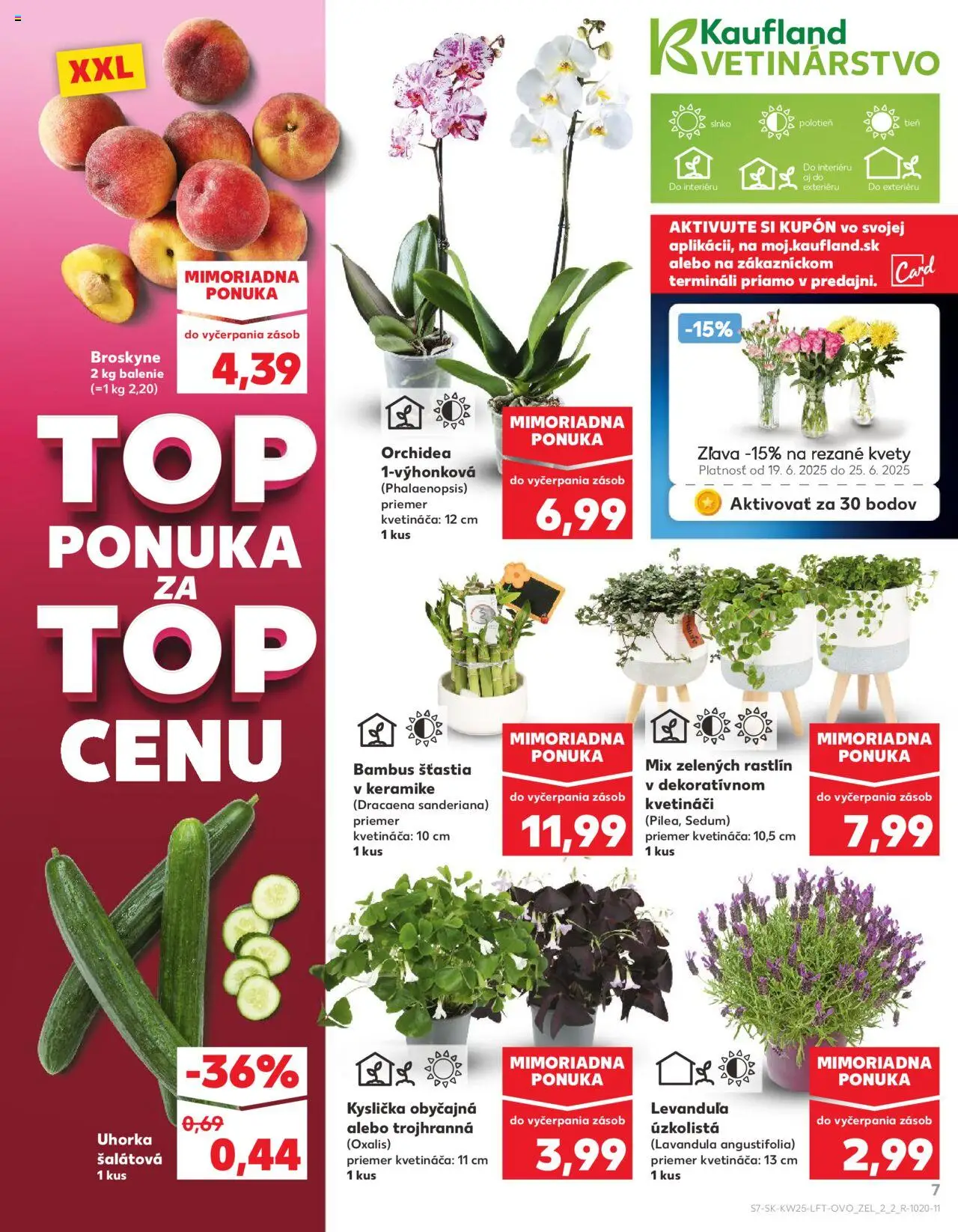 Nové Kaufland akcie – leták je platný od 19.06.2025 | Strana: 7 | Produkty: Kvety, Orchidea, Broskyne