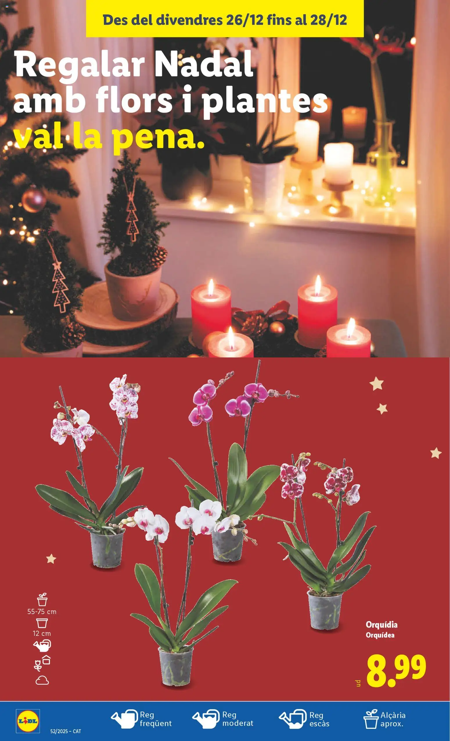 Lidl folleto │ válido desde el 22.12.2025 | Página: 52