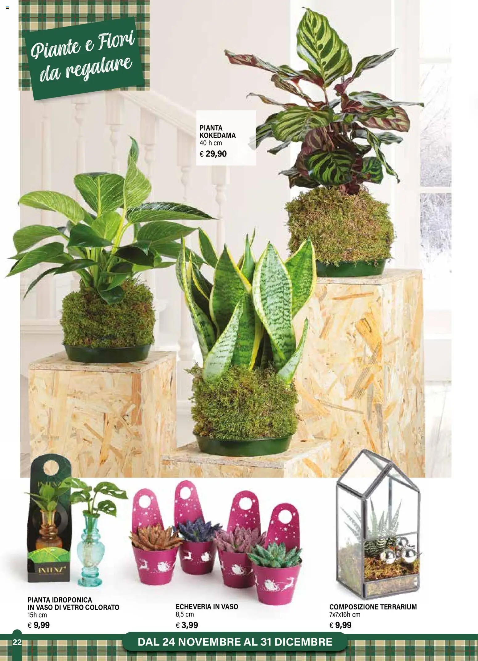 Volantino Il Gigante del 24.11.2025 | Pagina: 22 | Prodotti: Vaso