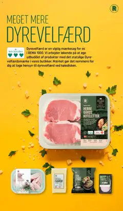 Rema 1000 tilbudsavis – gyldig fra 02.09.2025 | Side: 13 | Produkter: Te, Koteletter