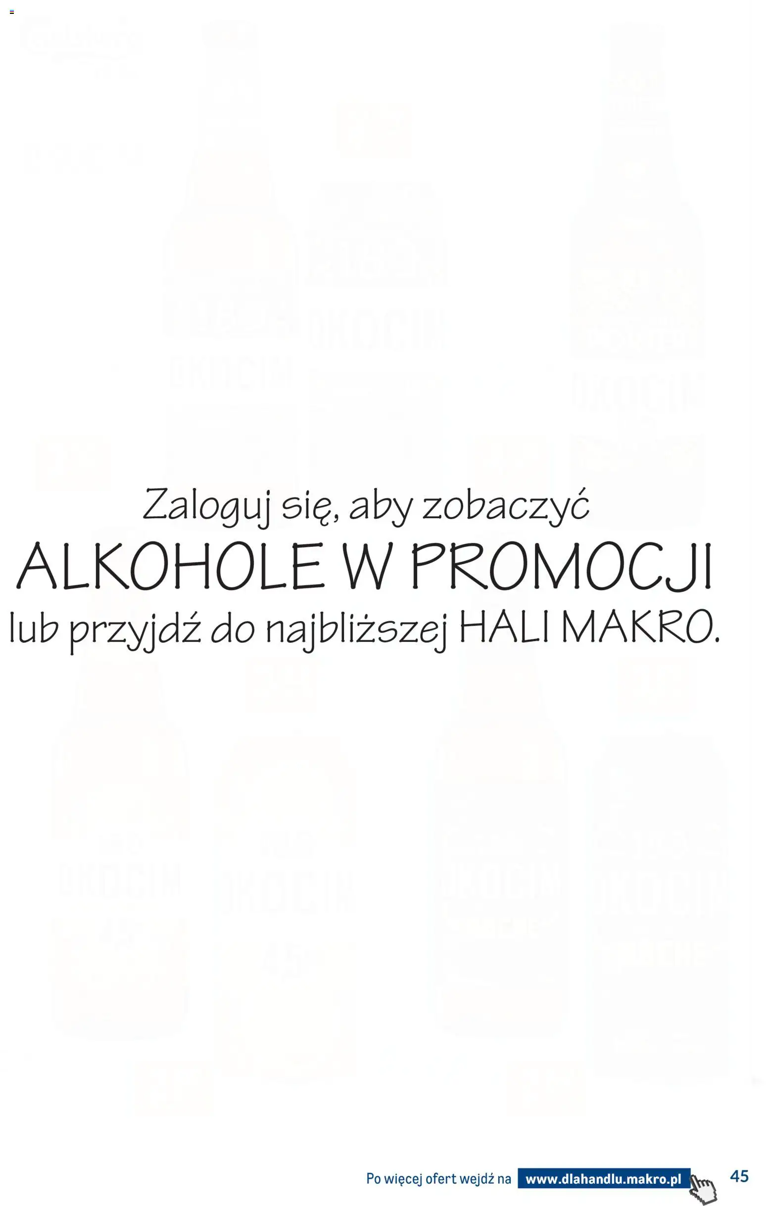 Makro Gazetka - Dystrybucja do sklepów od 20.01.2026 | Strona: 45