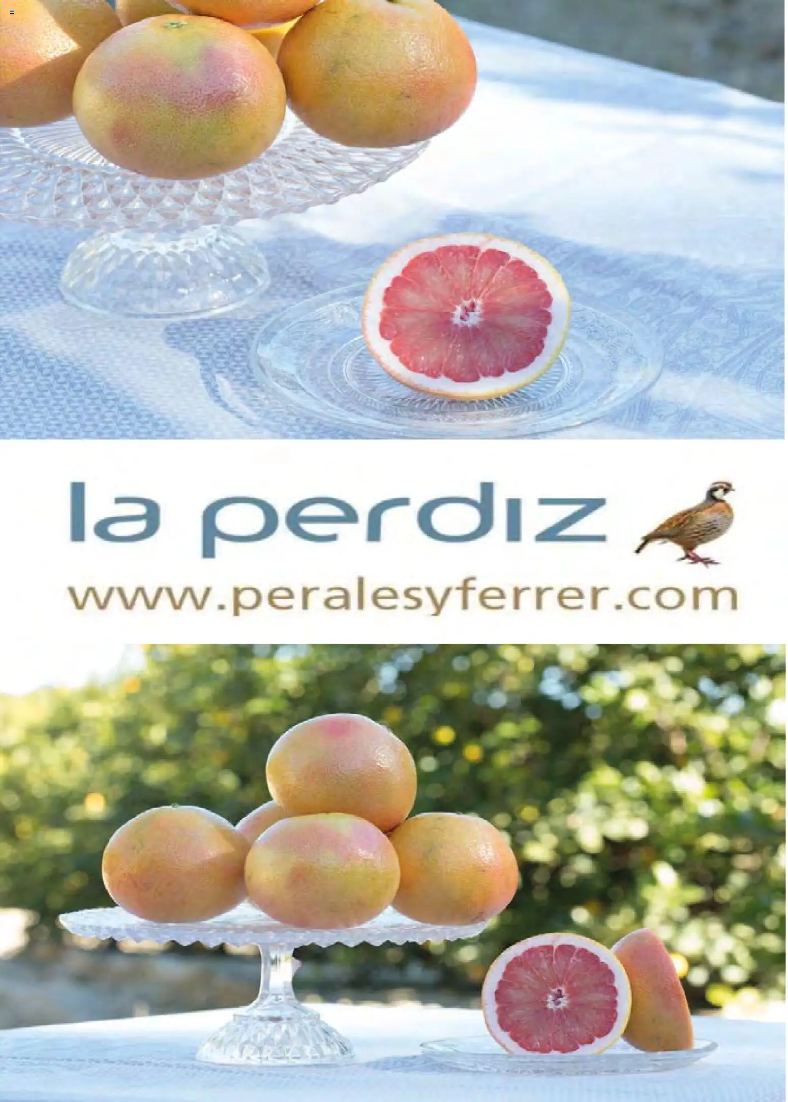 Costco catálogo │ válido desde el 19.03.2026 | Página: 147