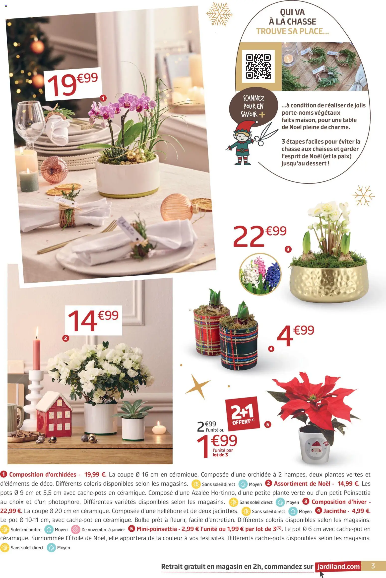 {H1} | Page: 3 | Produits: Poinsettia, Plantes, Plante verte, Orchidée