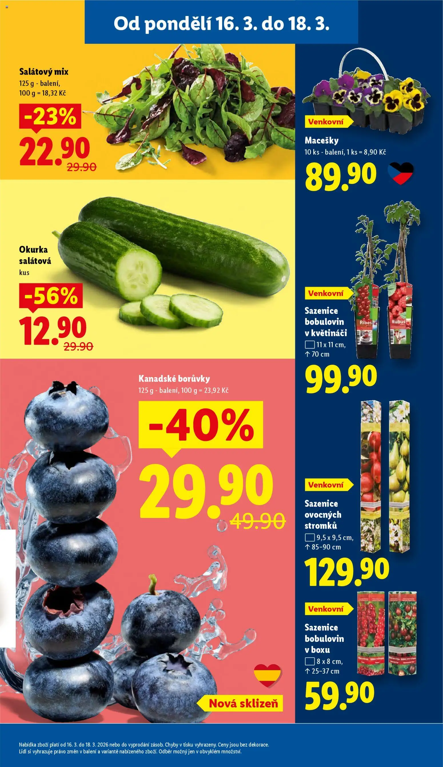 Lidl leták od 16.03.2026 | Strana: 13 | Produkty: Salát mix, Borůvky, Salátová okurka, Okurka