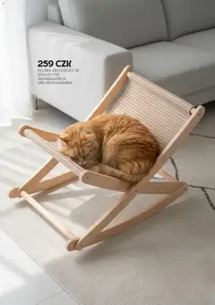 Náhled letáku Sinsay nabídka od 09.01.2026 | Strana: 18 | Produkty: Pelíšek pro kočky