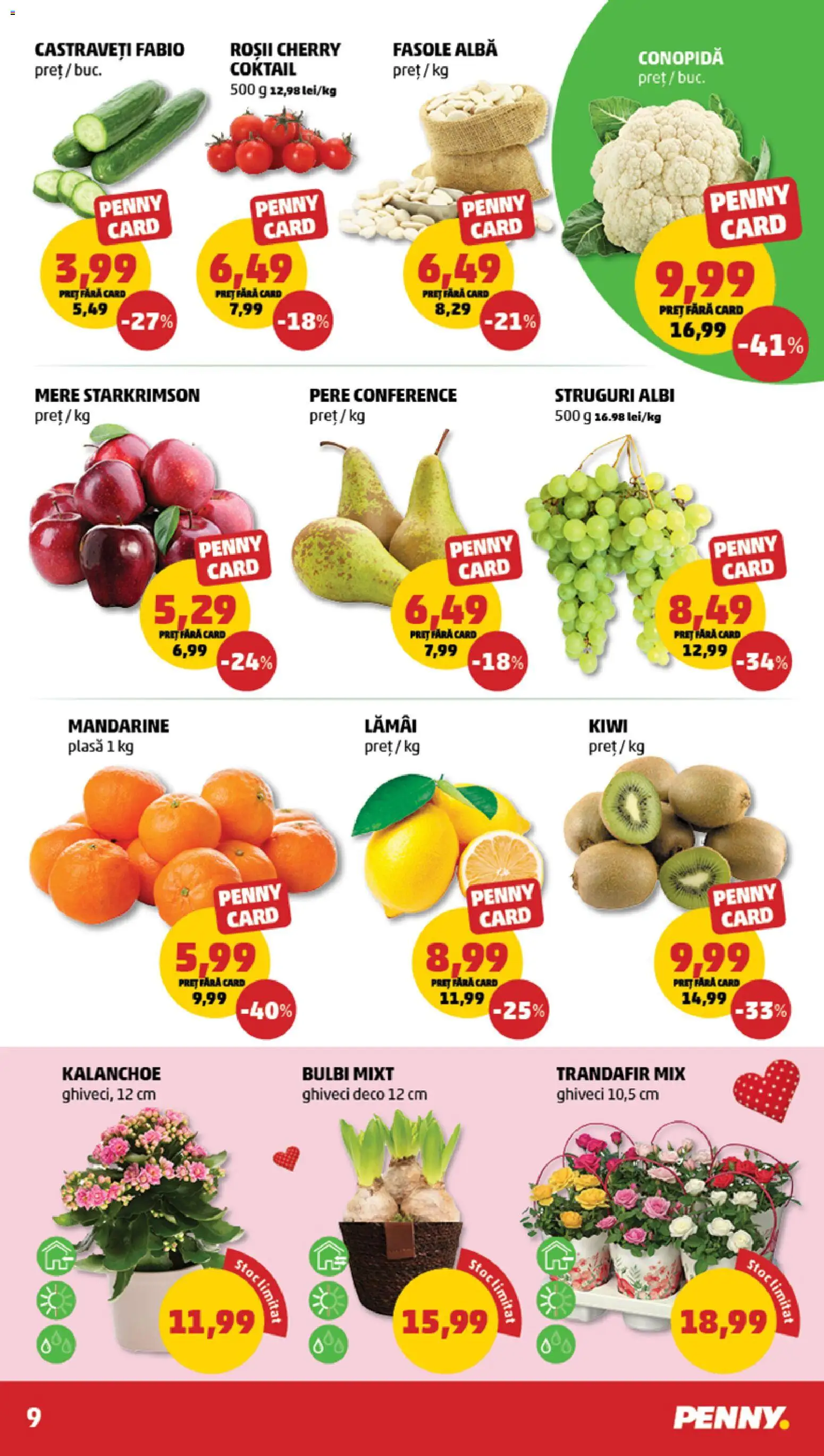 Noul catalog PENNY – valabil de la 18.02.2026 | Pagină: 9 | Produse: Struguri, Conopidă, Mandarine, Fasole albă