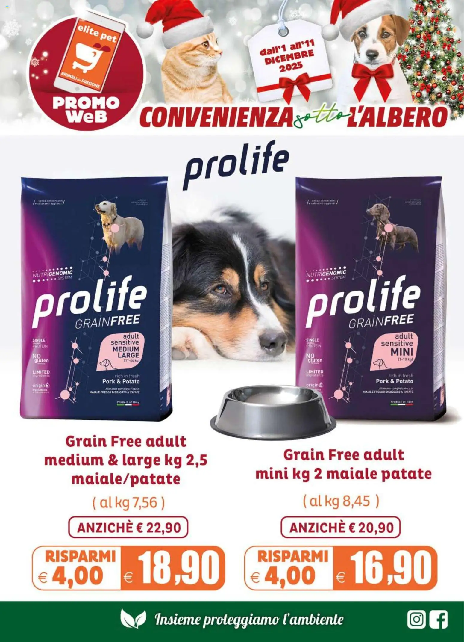 Volantino Elite Supermercati del 01.12.2025 | Pagina: 2 | Prodotti: Maiale, Patate