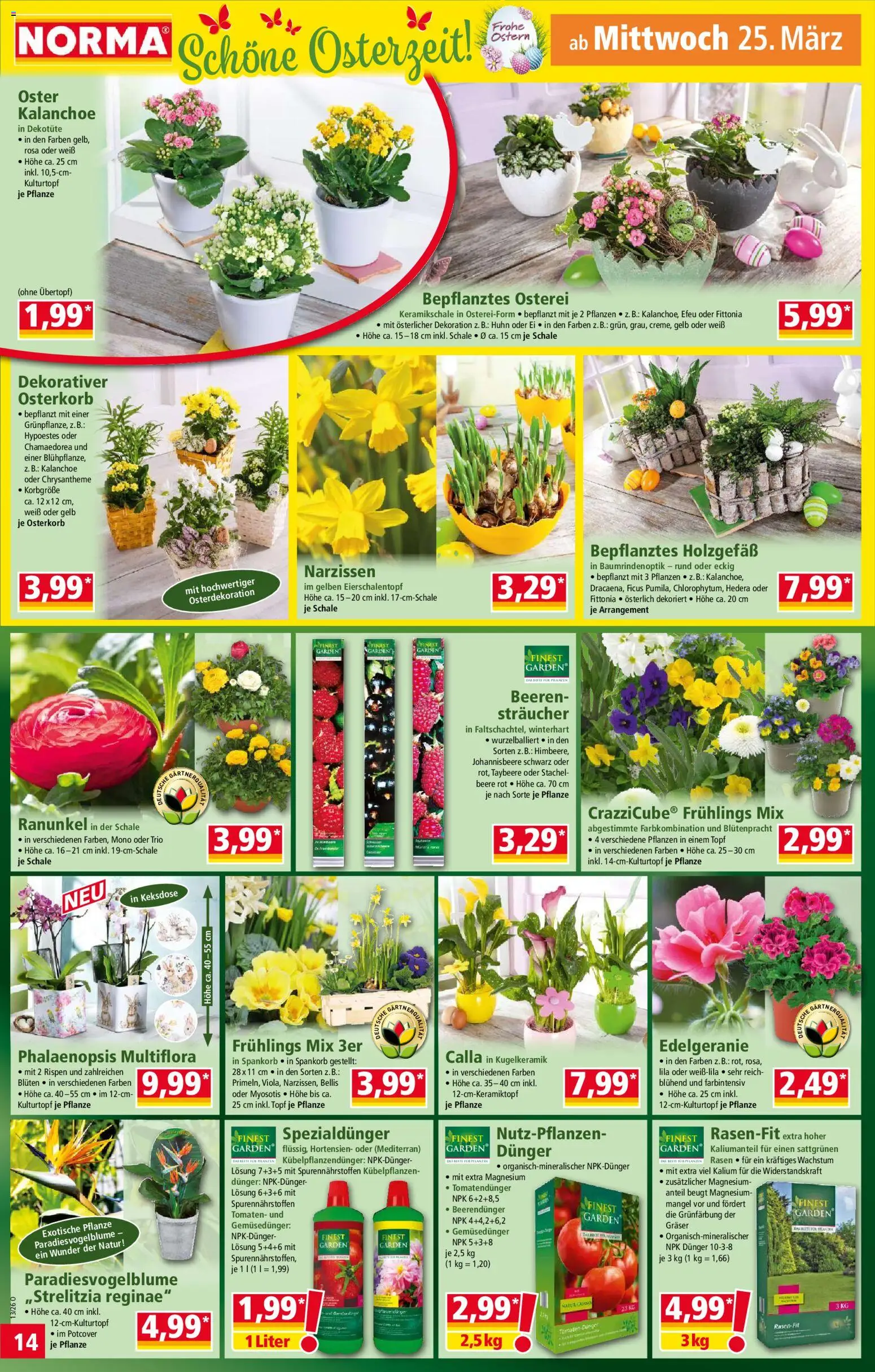 Norma Prospekt 	 – gültig ab 23.03.2026 | Seite: 14 | Produkte: Tomaten