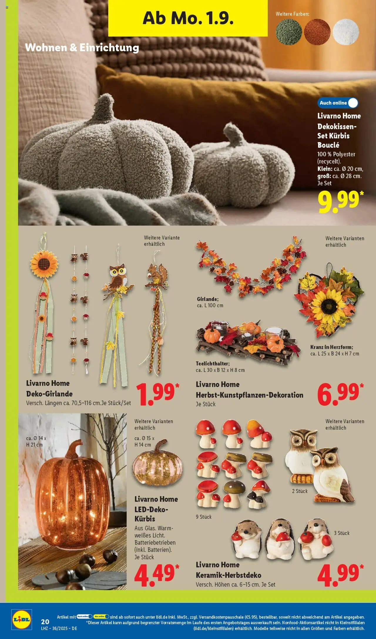 Lidl Prospekt Lüchow	 - gültig ab dem 01.09.2025 | Seite: 34 | Produkte: Kürbis