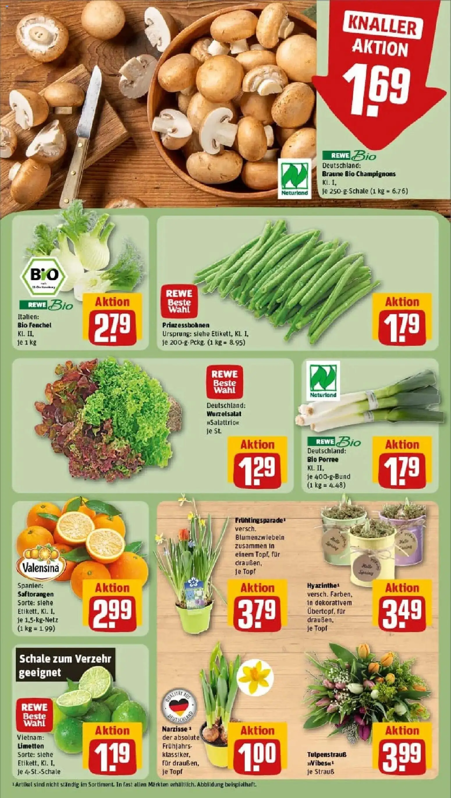 Rewe prospekt Blaustein	 – gültig ab 02.02.2026 | Seite: 9 | Produkte: Limetten, Valensina, Champignons