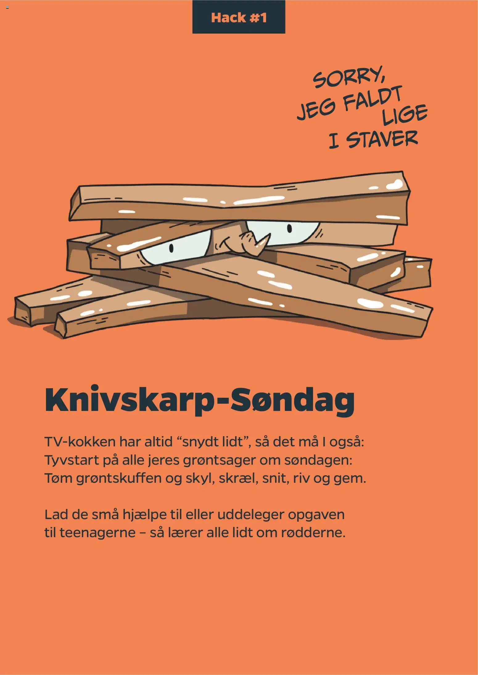 Netto tilbudsavis – gyldig fra 01.01.2026 | Side: 4