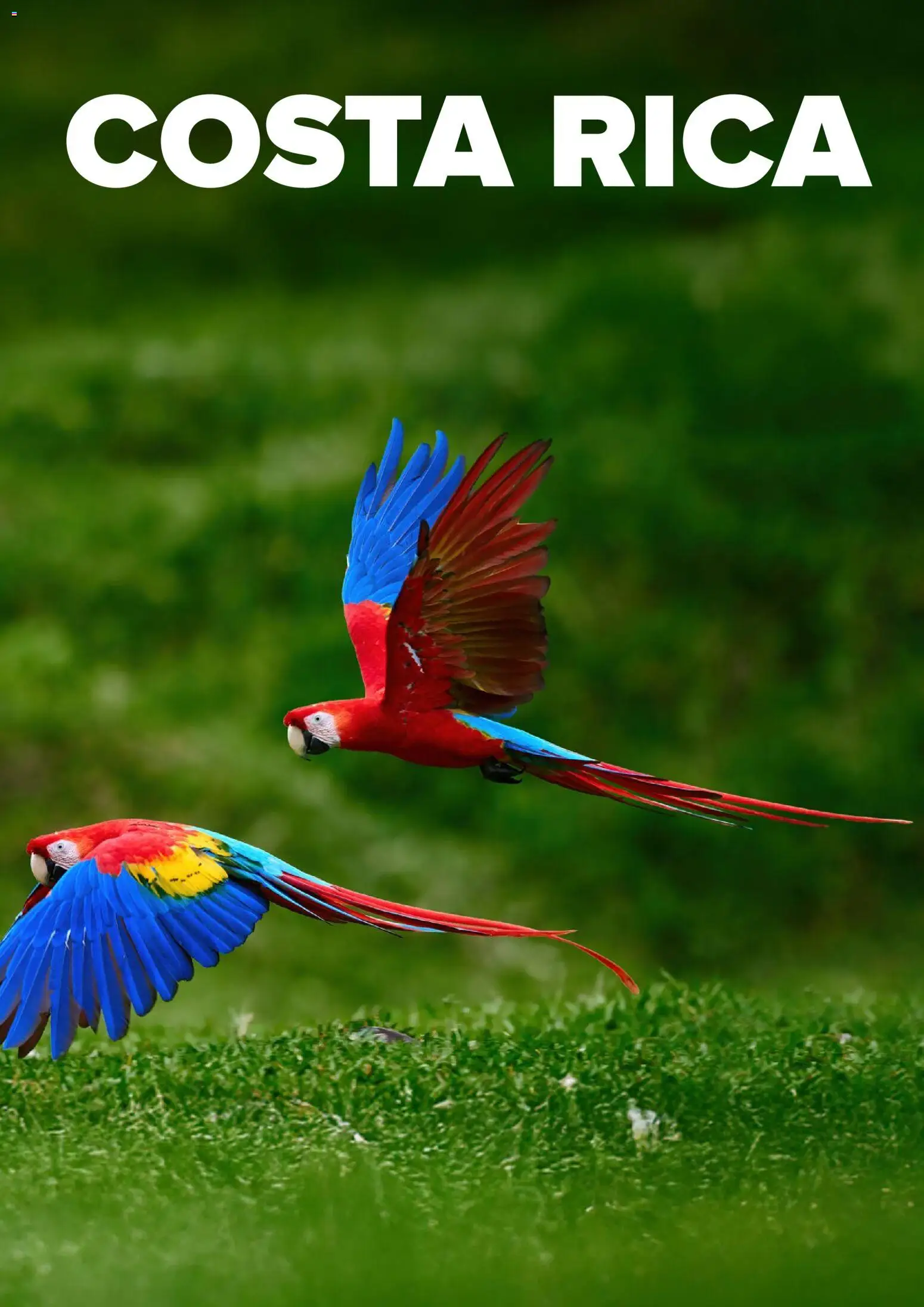 Viajes El Corte Inglés Centroamérica y Sudamérica │ válido desde el 01.01.2026 | Página: 16