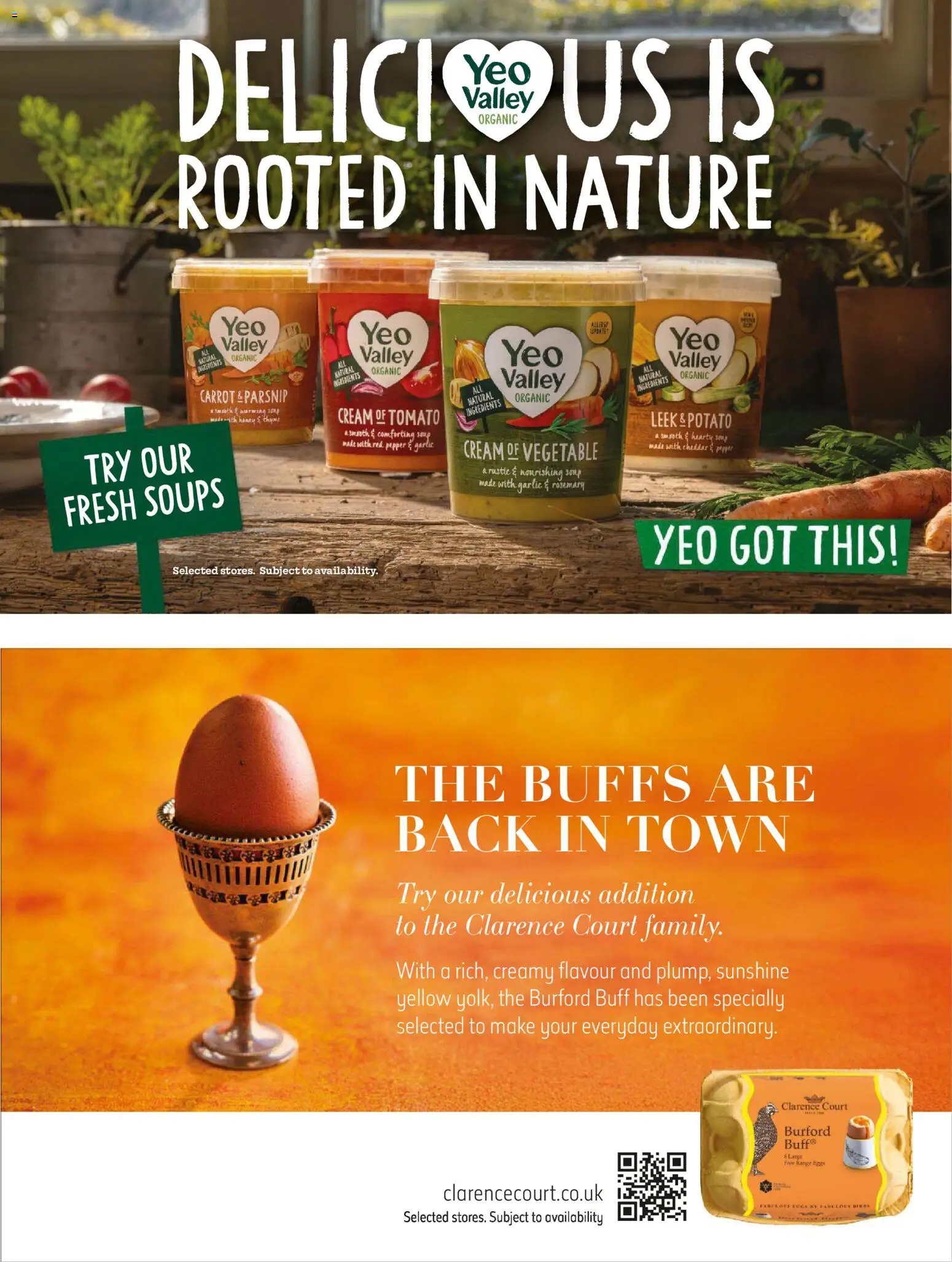 {H1} | Page: 28 | Products: Garlic, Eggs, Cream, Pepper