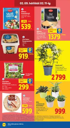 Milbona Krémfehérsajt, Zsírtartalom: 47%, 250 g; 1 kg = 2156 Ft - amely érvényes a következő dátumtól: 05.02.2026 | Oldal: 60