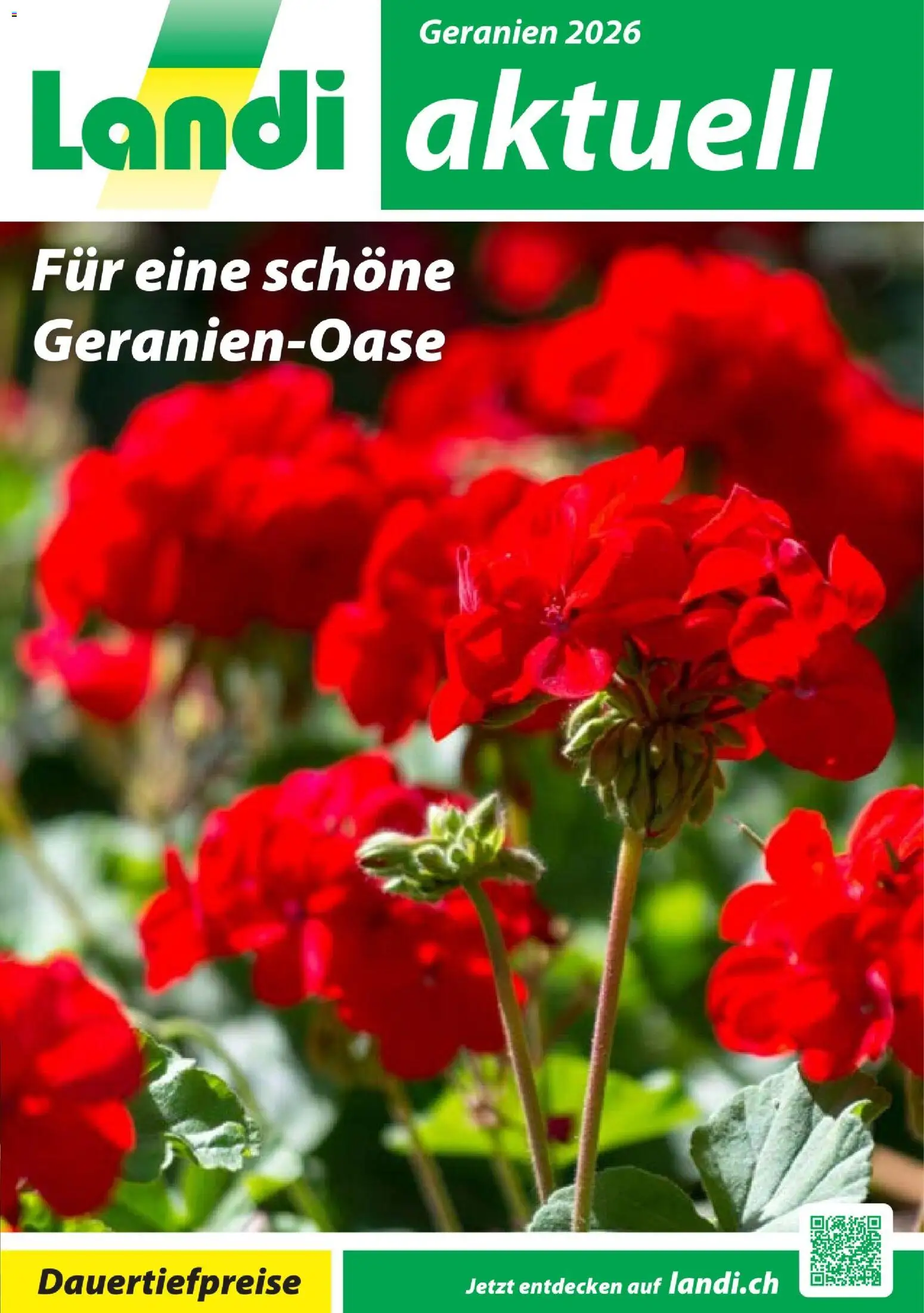 Landi aktionen Geranien – gültig ab 10.04.2026 | Seite: 1