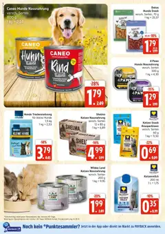 Edeka prospekt Rostock	 - gültig ab dem 20.07.2025 | Seite: 28 | Produkte: Kissen, Milch, Kaninchen