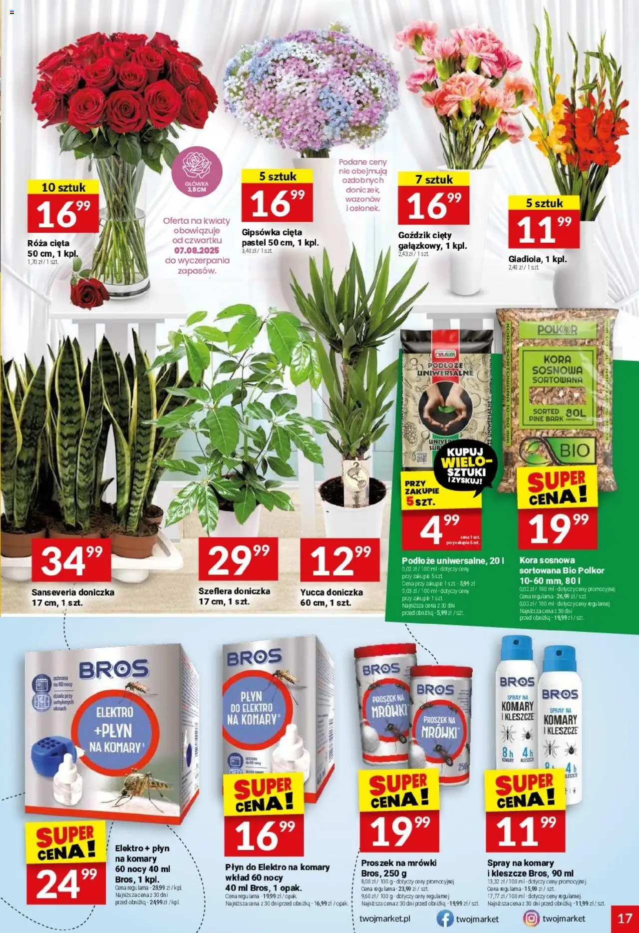 Twój Market Gazetka od 06.08.2025 | Strona: 17 | Produkty: Goździk, Doniczka, Kwiaty