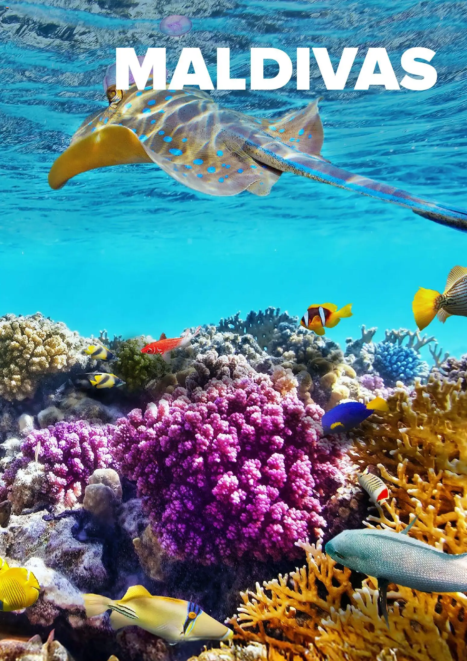 Viajes El Corte Inglés Asia y Oceanía │ válido desde el 01.01.2026 | Página: 39