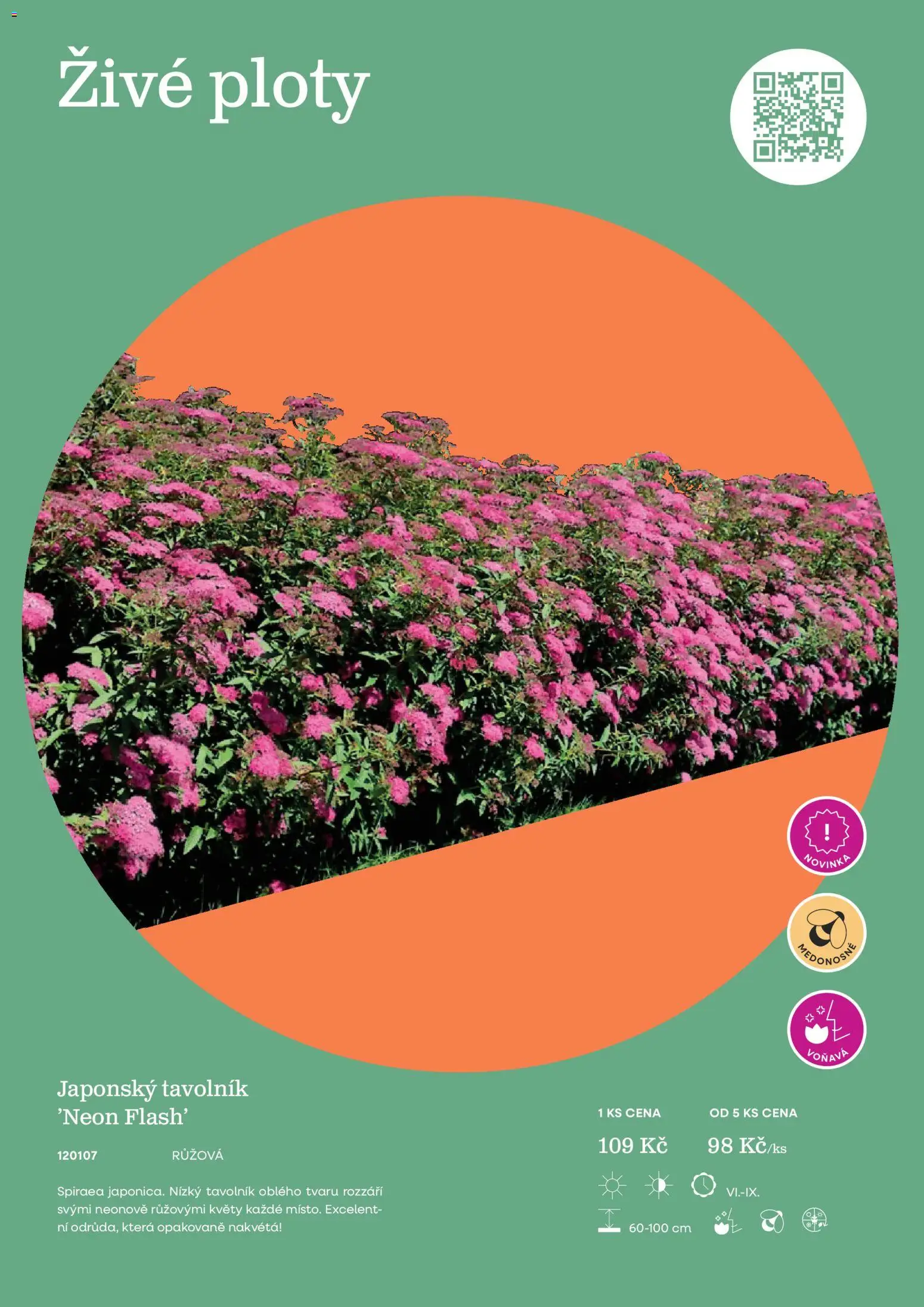 Starkl katalog od 25.02.2026 | Strana: 49